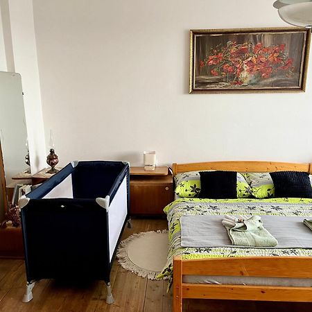 Slunny Byt S Krasnym Vyhledem Apartment โนเว เมสตู นอด เมตูยี ภายนอก รูปภาพ